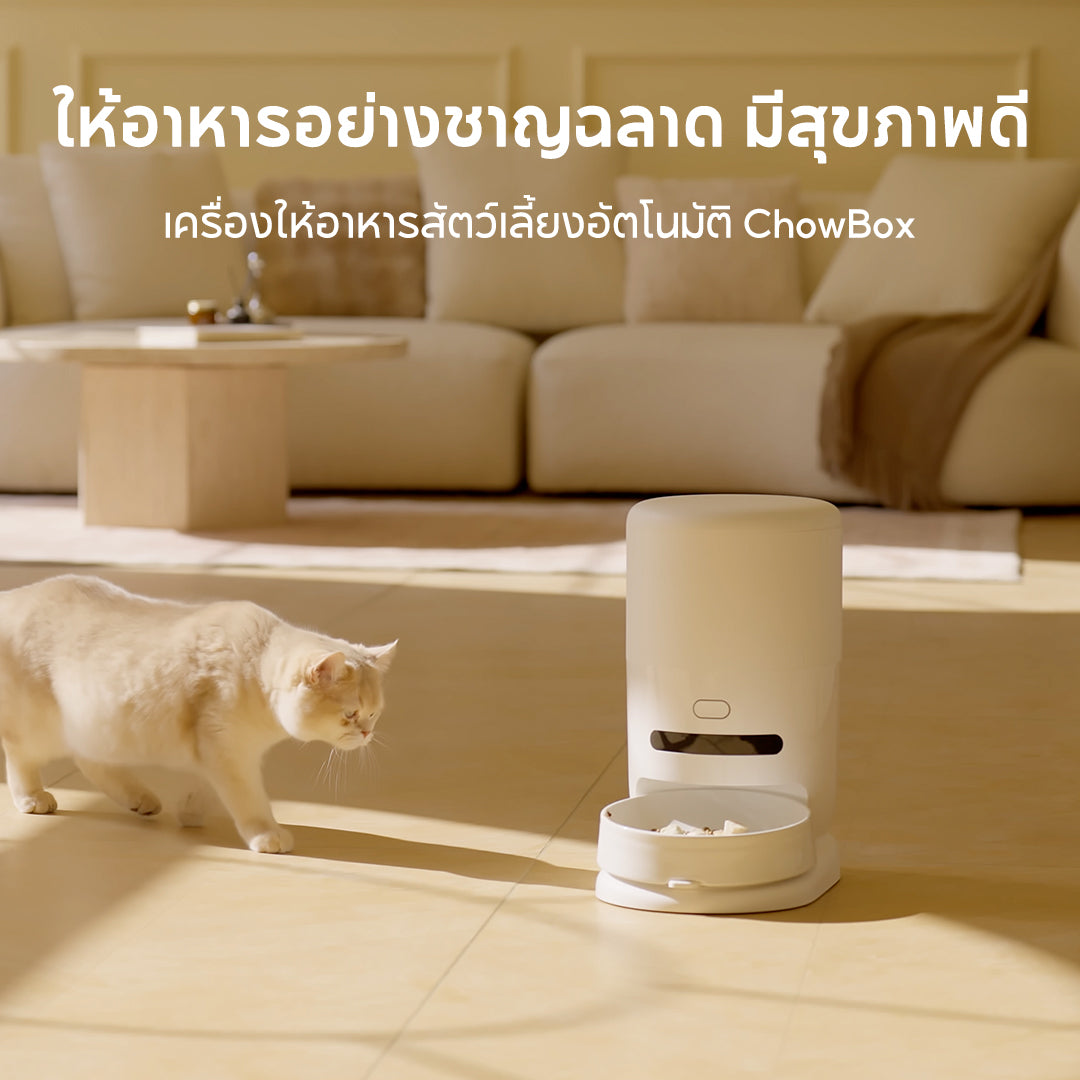 Hiigge ChowBox Automatic Pet Feeder 4.3L เครื่องให้อาหารสัตว์เลี้ยงอัตโนมัติ