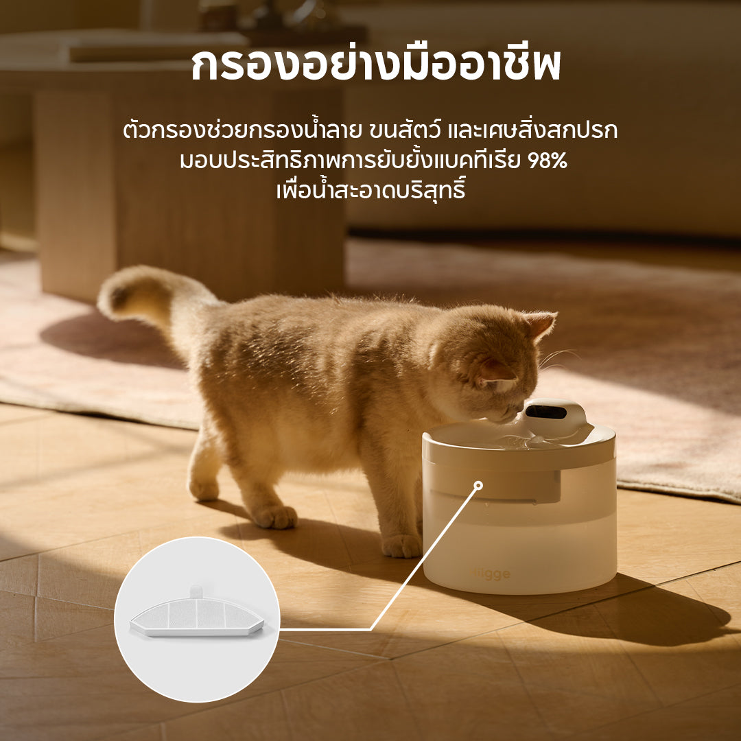 Hiigge Snowball Pet Fountain 2.3L น้ำพุแมวอัตโนมัติ