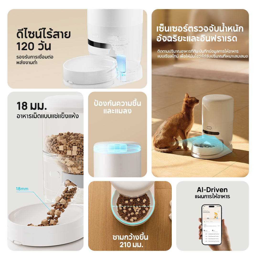 Hiigge ChowBox Automatic Pet Feeder 4.3L เครื่องให้อาหารสัตว์เลี้ยงอัตโนมัติ