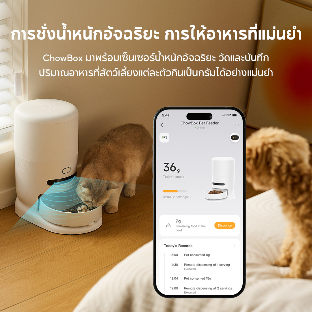 Hiigge ChowBox Automatic Pet Feeder 4.3L เครื่องให้อาหารสัตว์เลี้ยงอัตโนมัติ