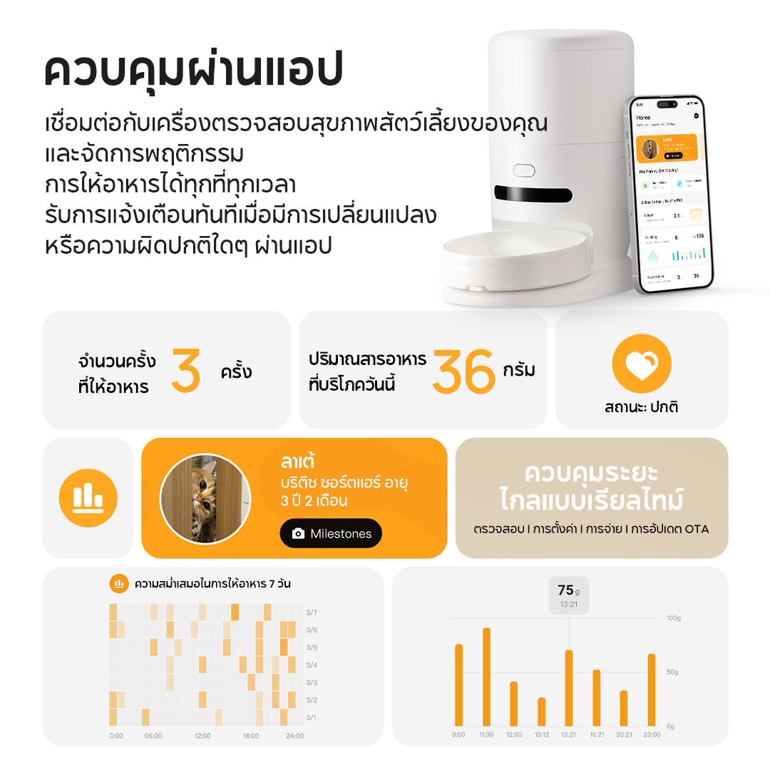 Hiigge ChowBox Automatic Pet Feeder 4.3L เครื่องให้อาหารสัตว์เลี้ยงอัตโนมัติ