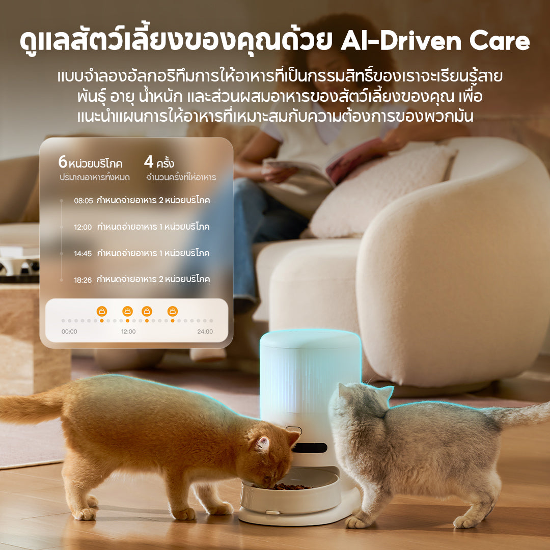 Hiigge ChowBox Automatic Pet Feeder 4.3L เครื่องให้อาหารสัตว์เลี้ยงอัตโนมัติ