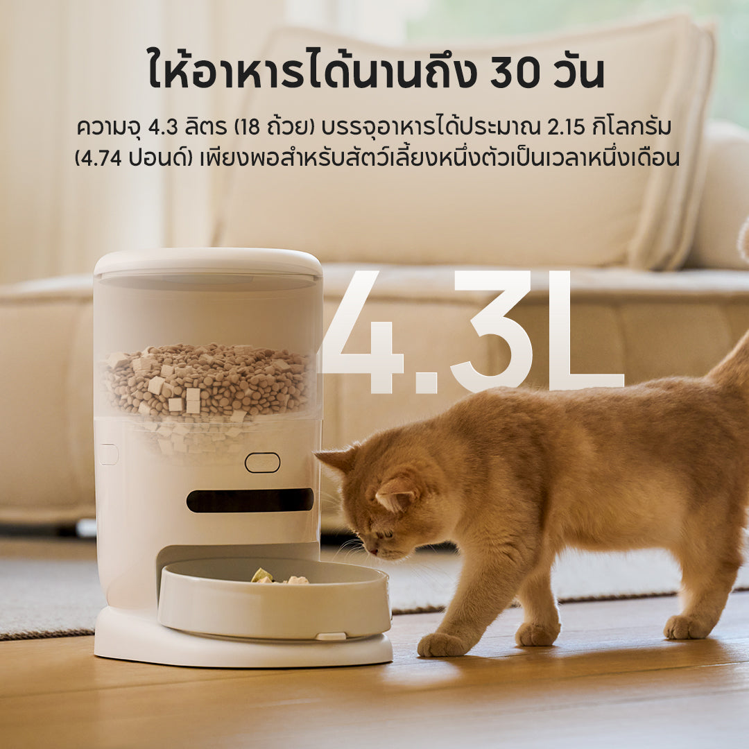 Hiigge ChowBox Automatic Pet Feeder 4.3L เครื่องให้อาหารสัตว์เลี้ยงอัตโนมัติ